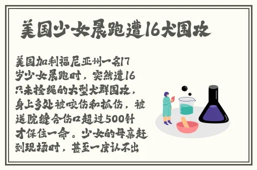 日本阿v手机不卡在线观看视频